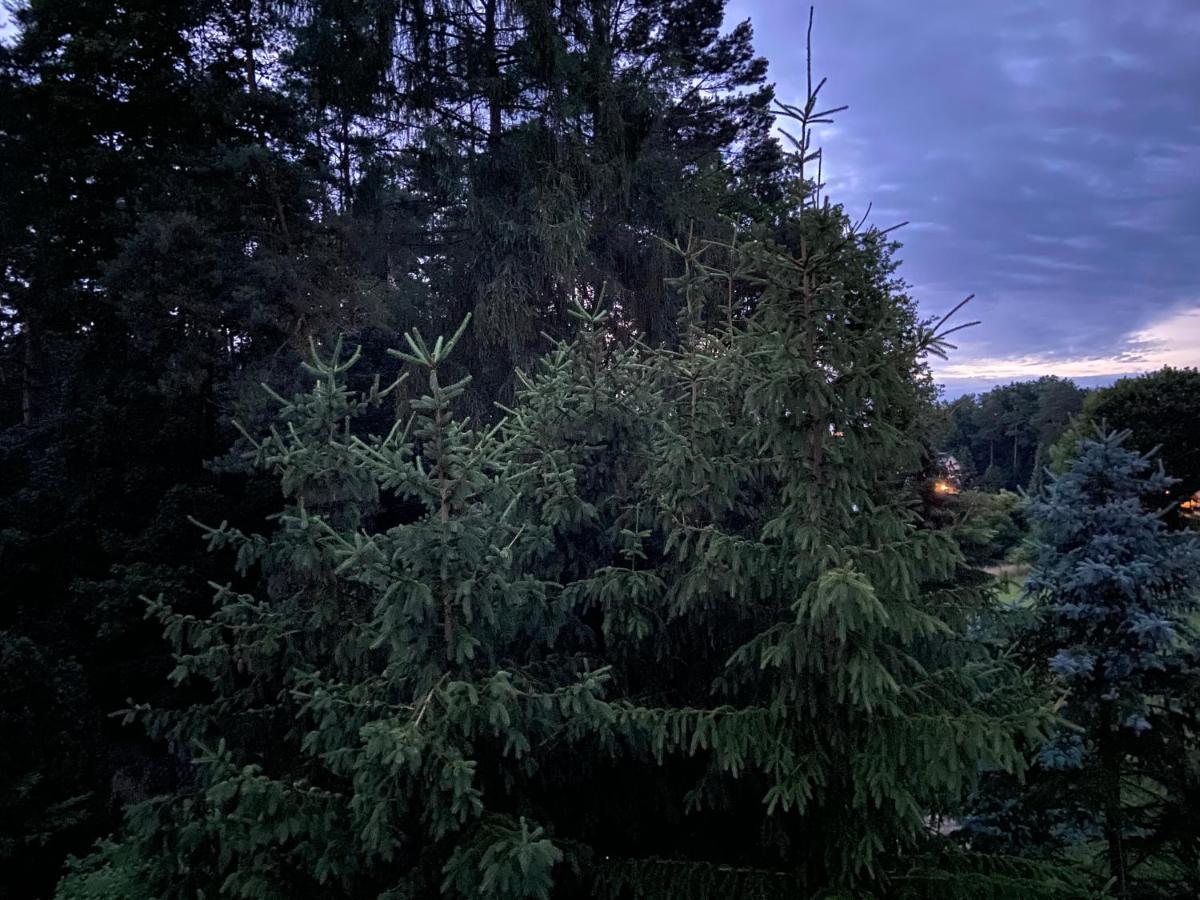 Waldwerk Wurlgrund Lychen Aparthotel Εξωτερικό φωτογραφία